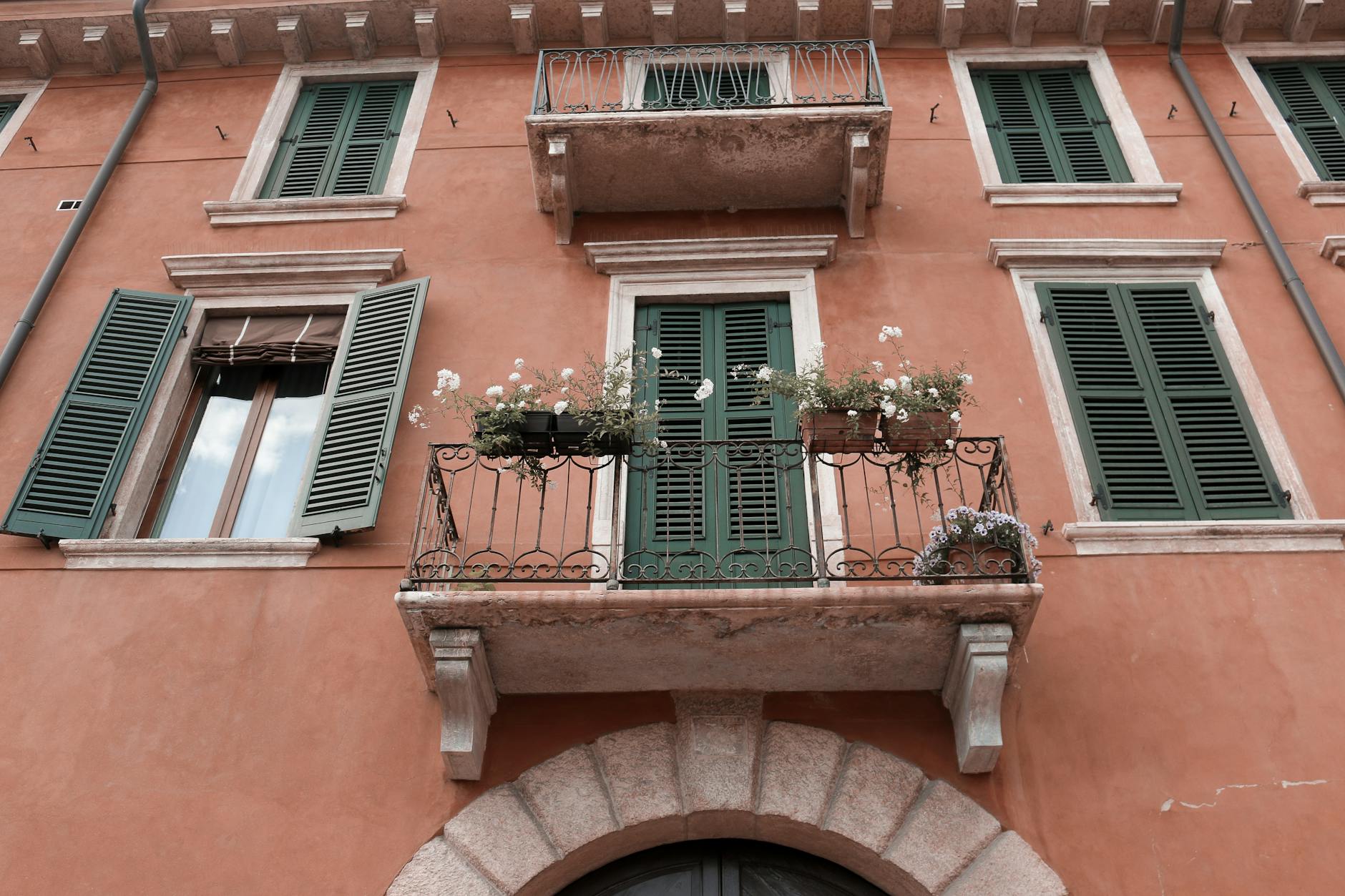 potted plants on the balcony